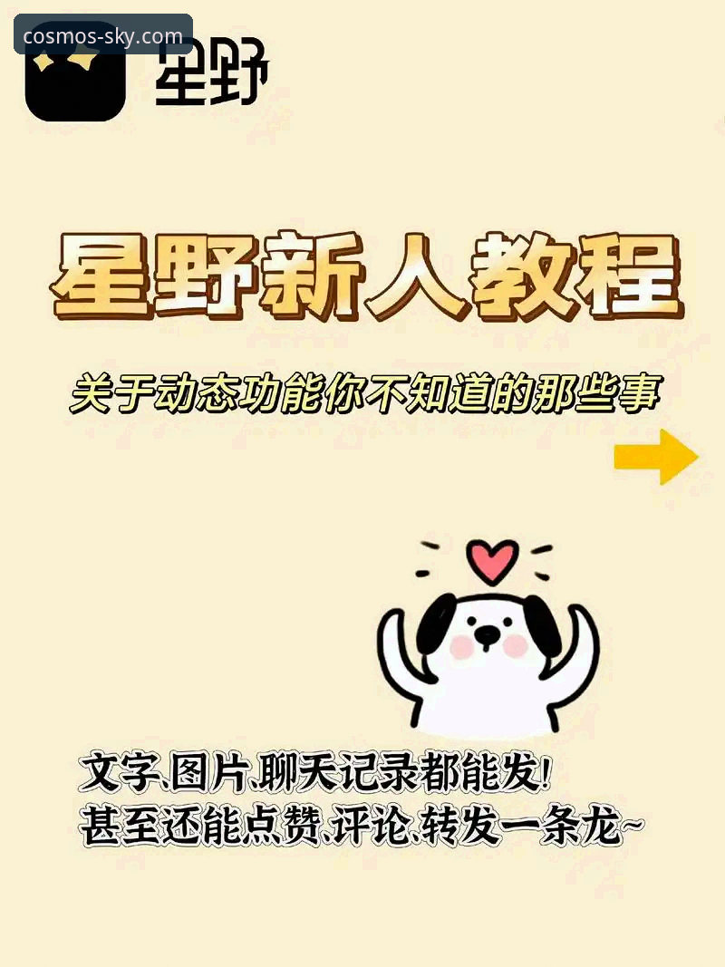 星空入口SKY安卓版实用指南：从下载到畅玩的必备知识